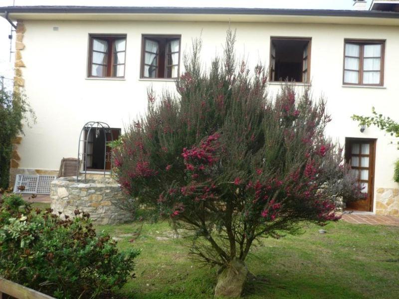 Apartamentos Rurales La Caramba Lamuno Exteriör bild